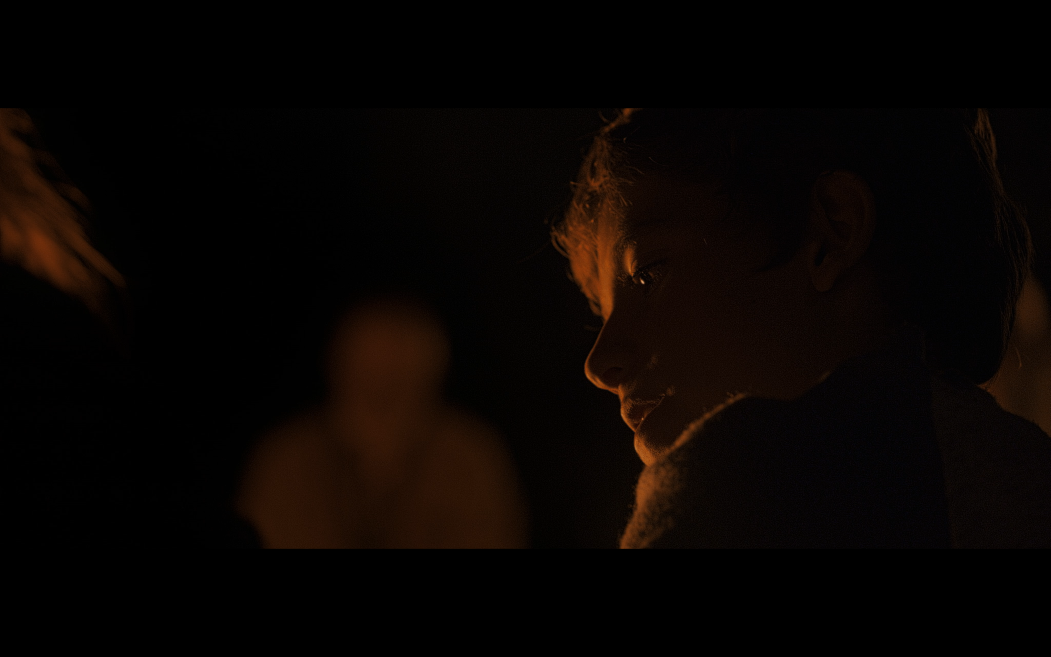 A child in profile beside a bonfire