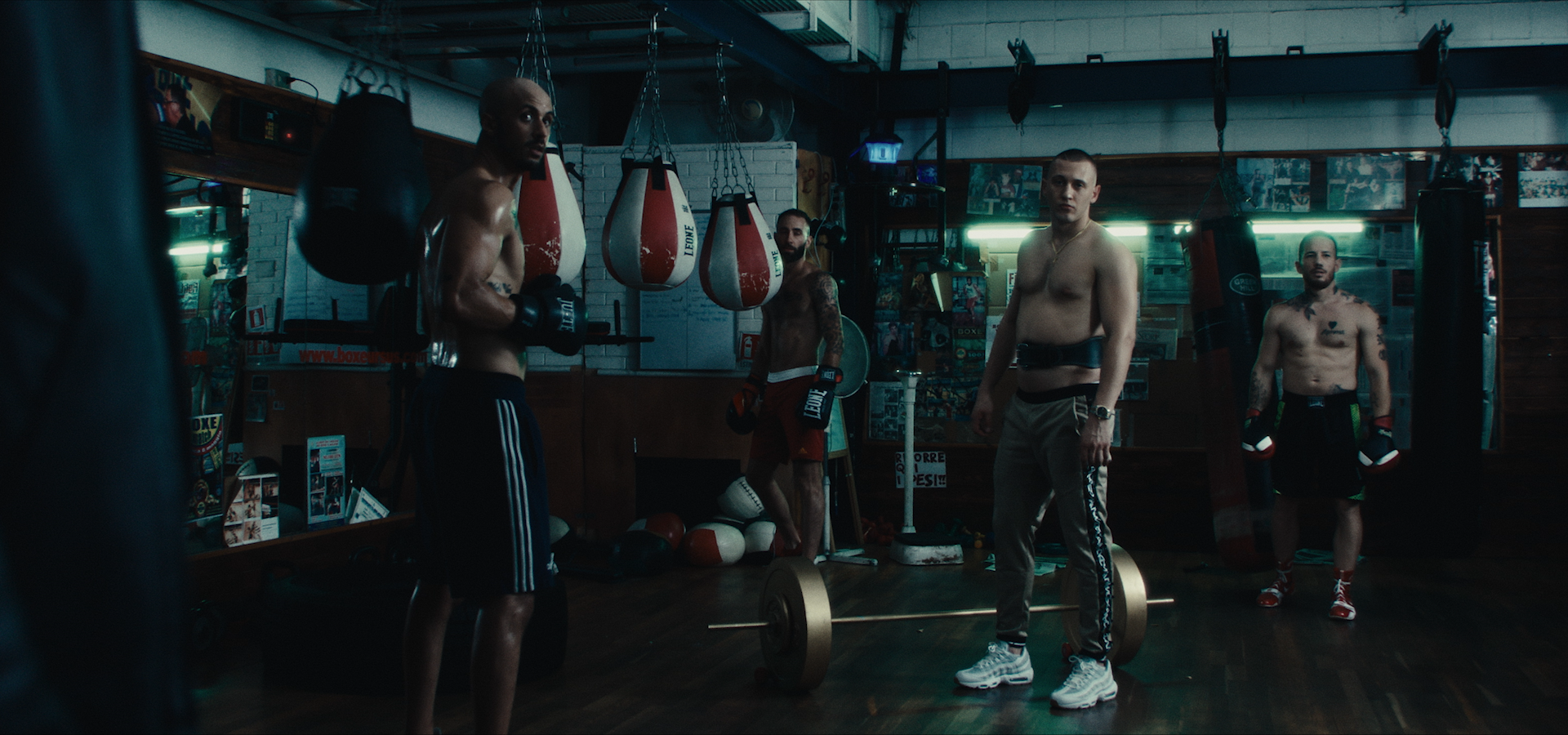 A group of boxers beside punching bags