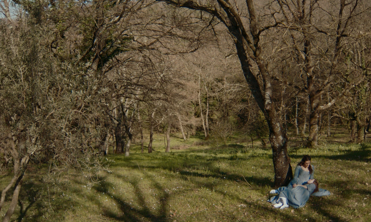Two women beneath a tree in a sunlit woodland