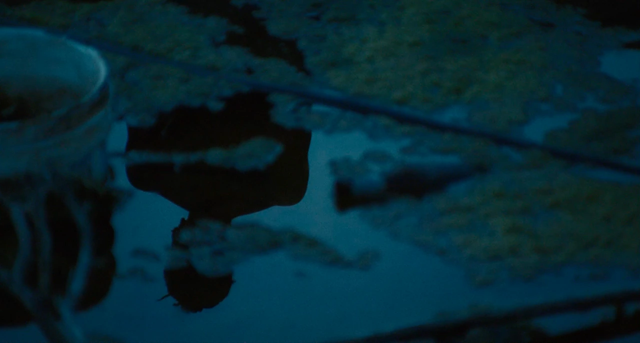 A blue silhouette reflected in water at dusk