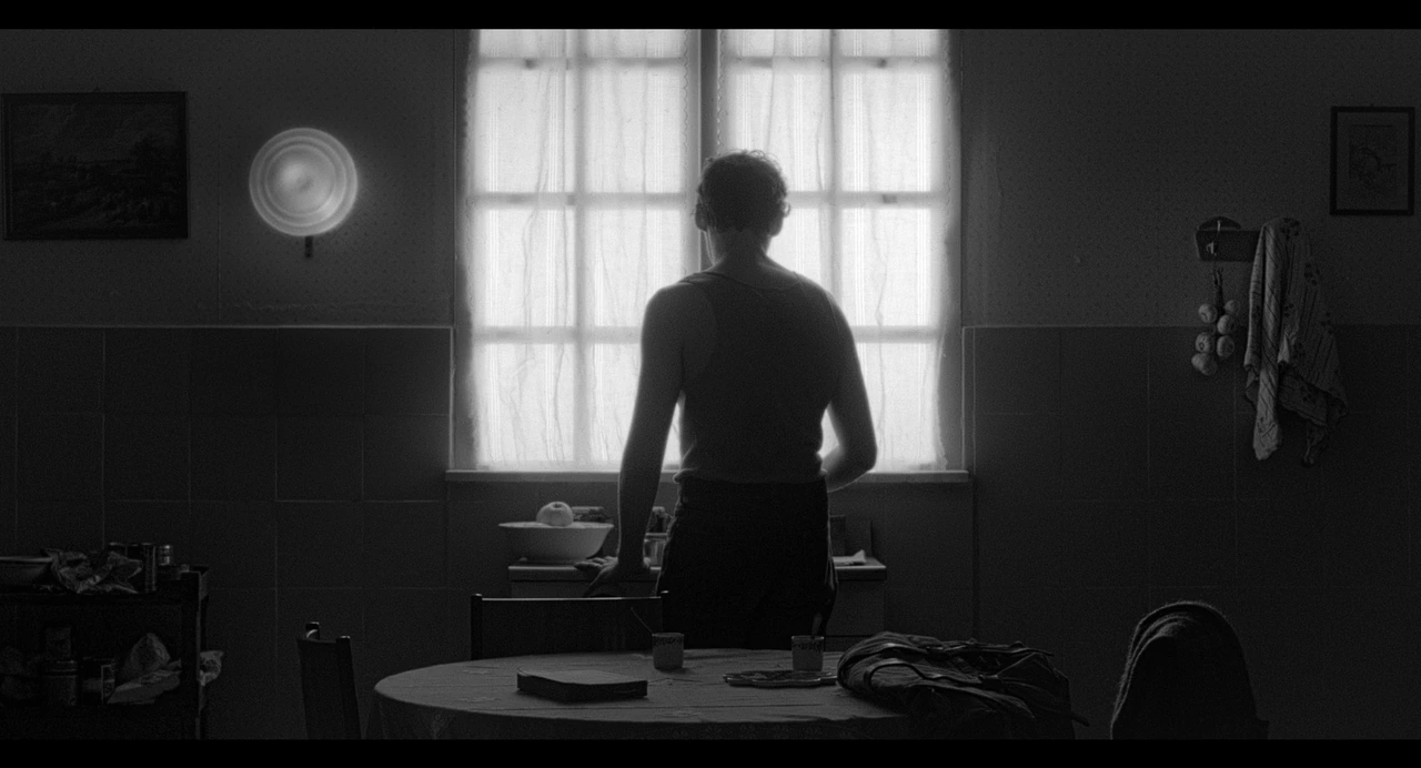 A man at a kitchen window