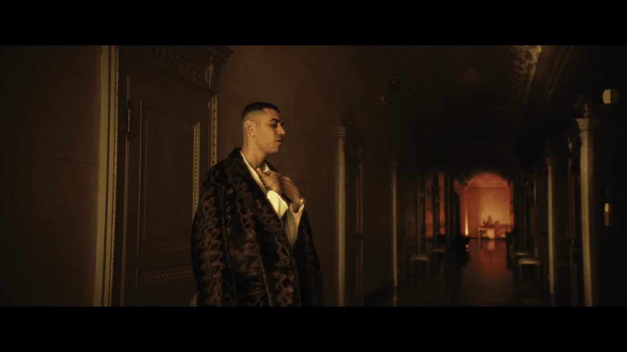 An artist standing in a richly decorated room
