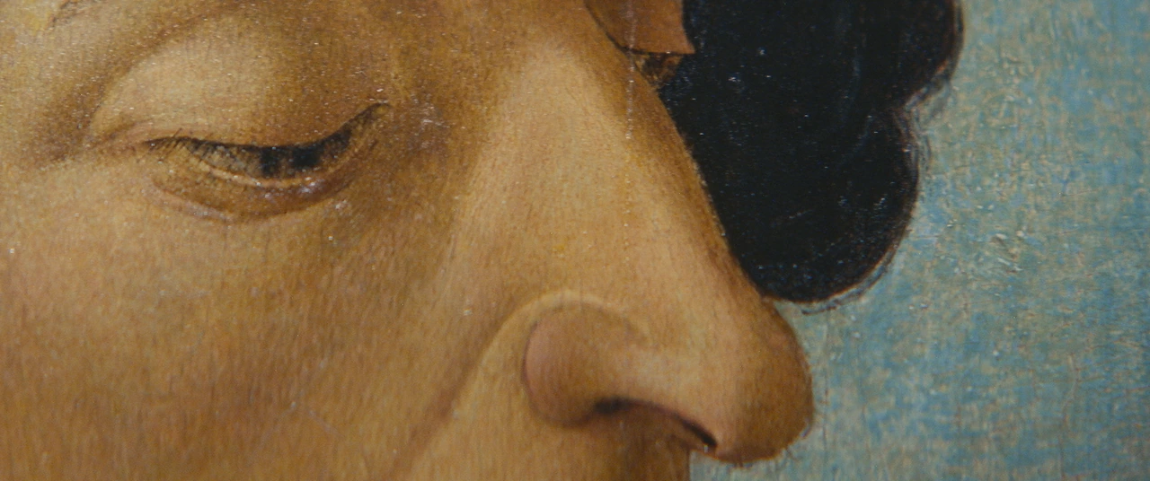 Giuliano de’ Medici – Il ritratto svelato, frame 8