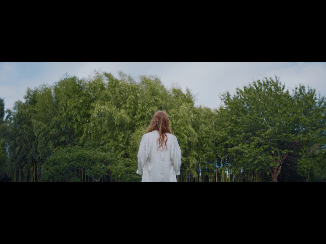 A woman seen from behind facing the trees