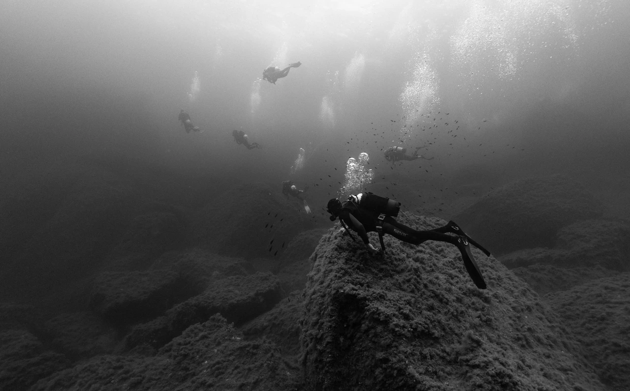 Divers above a rocky seabed in black and white