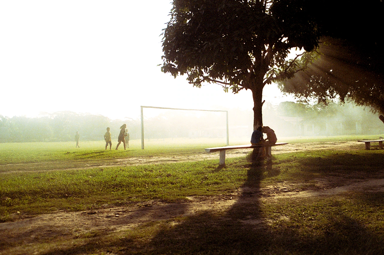 Figures on a playing field beneath a tree in golden light