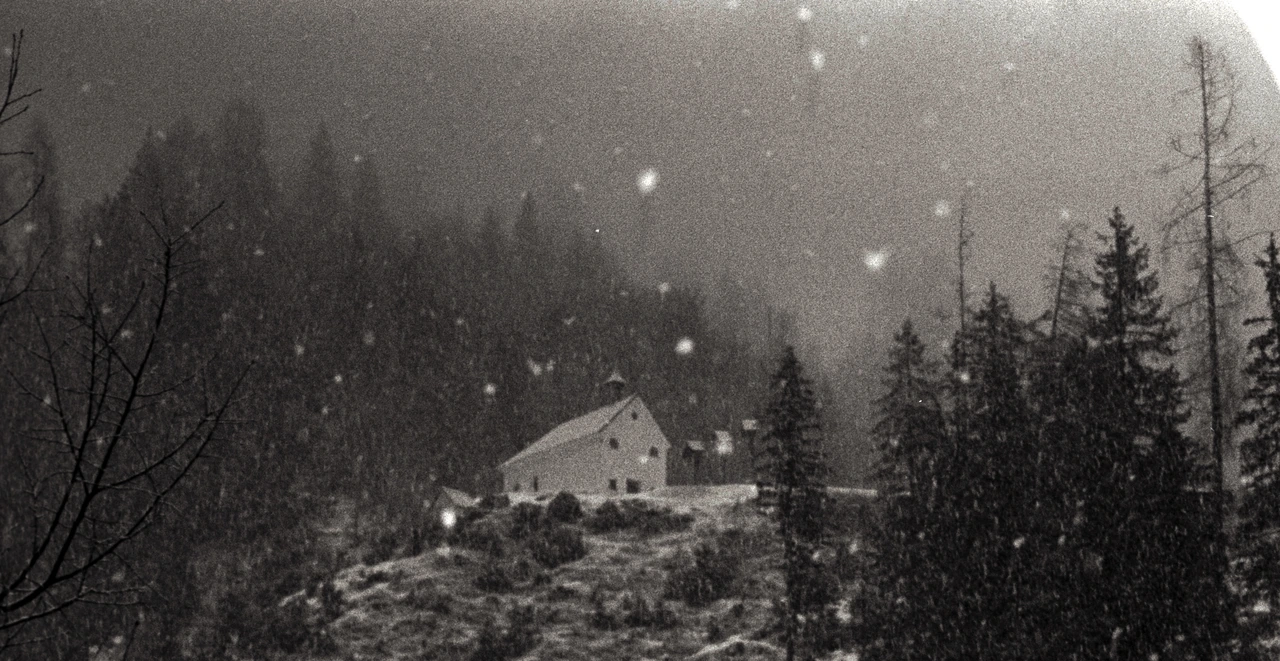 Snow falling over a forest cabin in black and white